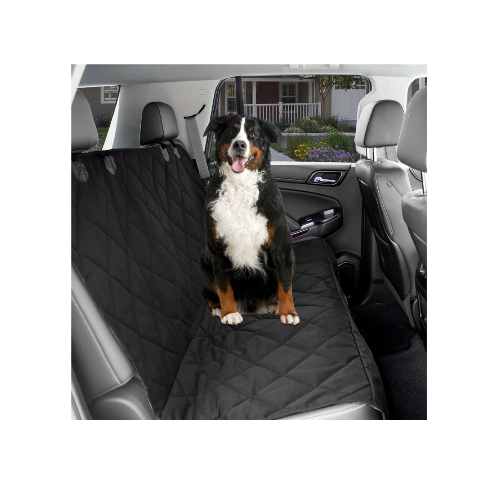 Pet friendly cars